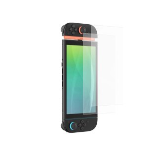 Szkło hartowane AMAZINGTHING Radix Matte Glass do Nintendo Switch 2 (2 szt.)