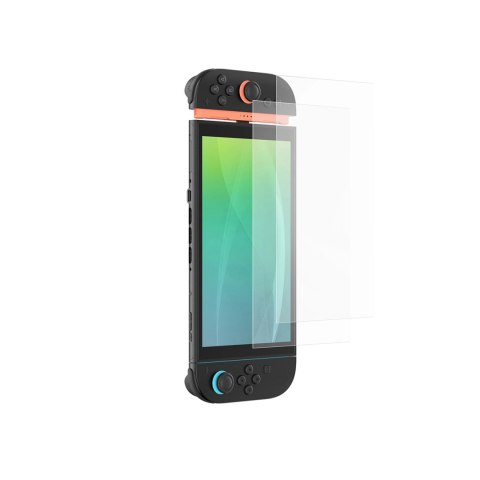 Szkło hartowane AMAZINGTHING Radix Matte Glass do Nintendo Switch 2 (2 szt.)
