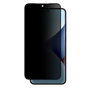 Szkło hartowane AMAZINGTHING Radix Privacy Glass prywatyzujące do Samsung Galaxy S25+