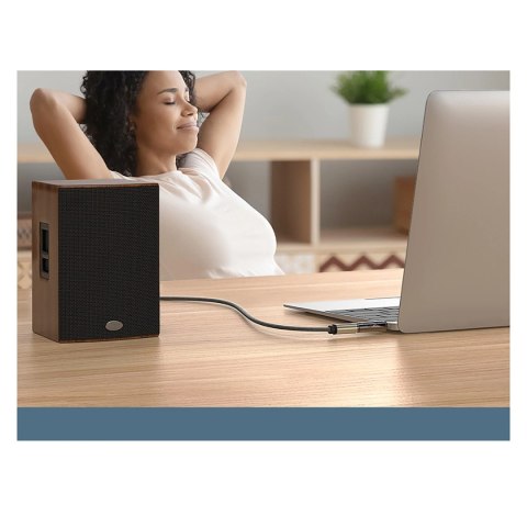 Ugreen adapter przejściówka audio z 3.5mm (męski) na 6,35mm mini jack (żeński) szary (AV168) Ugreen adapter przejściówka audio z 3.5mm (męski) na 6,35mm mini jack (żeński) szary (AV168)