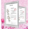 Kingxbar Angel lustrzane etui ozdobione oryginalnymi Kryształami Swarovskiego iPhone 11 Pro Max lusterko przezroczysty Kingxbar Angel lustrzane etui ozdobione oryginalnymi Kryształami Swarovskiego iPhone 11 Pro Max lusterko przezroczysty
