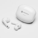 Słuchawki bezprzewodowe douszne Forcell F-Audio TWS Clear Sound białe Słuchawki bezprzewodowe douszne Forcell F-Audio TWS Clear Sound białe