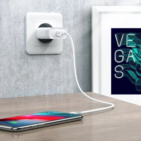 Kabel Ugreen US171 Lightning - USB-C MFi PD 20W 480Mb/s 1m - biały